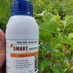 Phân Bón Thông Minh Smart Fertilizer